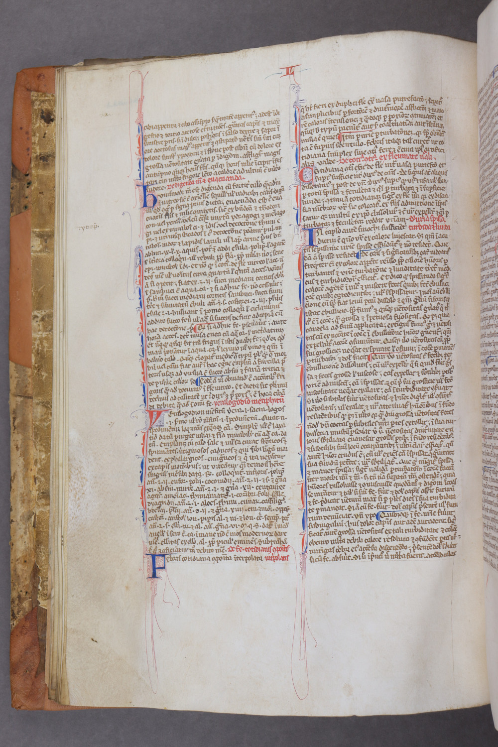 Folio 17 verso